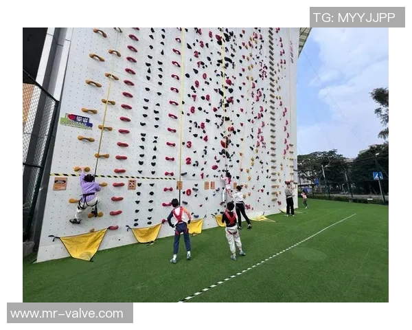 运动数据南京攀岩队整体压制革新探索与实践的深度剖析与启示 运动数据南京攀岩队整体压制革新探索与实践的深度剖析与启示